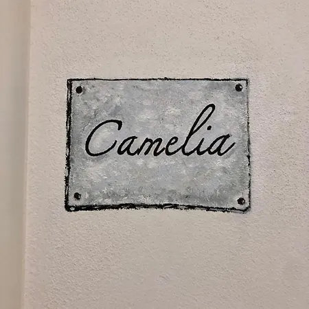 Gæstehus Sull'arco 4*